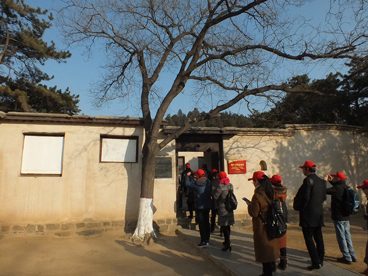 DSCF9341.JPG