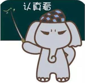 333.jpg