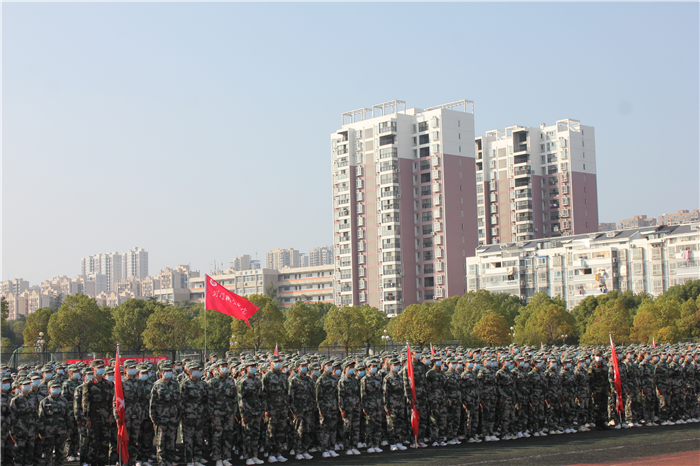 图片12.png